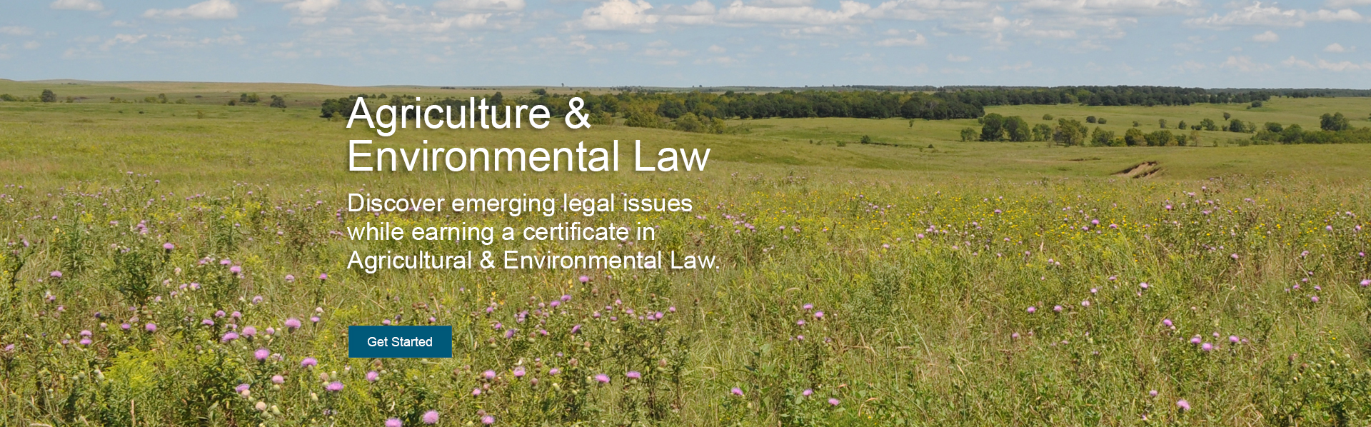A green prairie with purple thistles and groves of trees. The online agricultural and environmental law undergraduate certificate will help you better understand emerging legal issues while providing you tools to advance in your career.