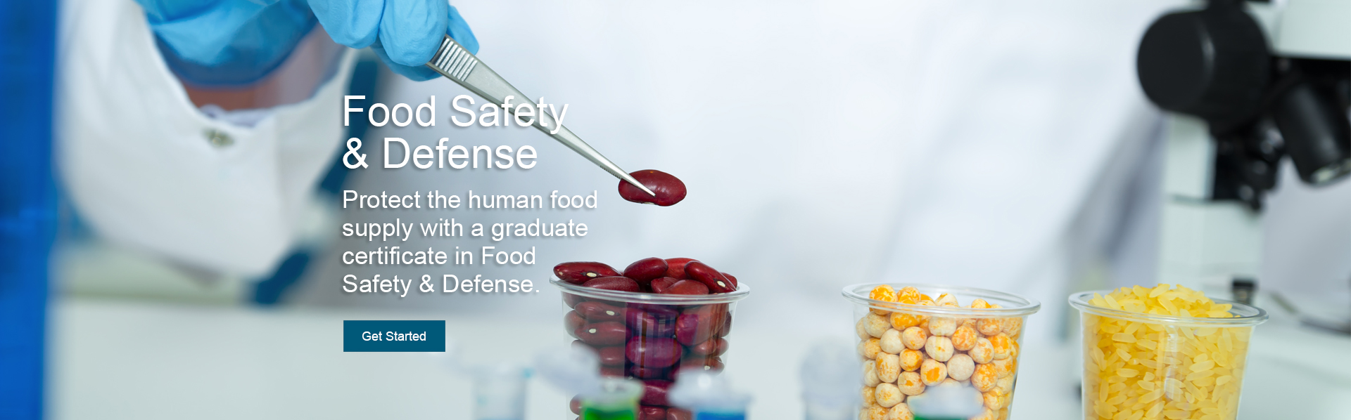 A person is conducting a study with plastic cups of beans, rice, and corn in a laboratory. The online food safety and defense graduate certificate will help you protect the human food supply while providing you tools to advance your career.